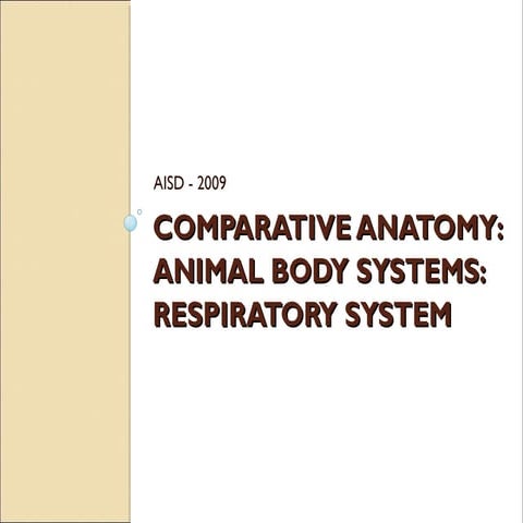 Comparative anatomy  respiratory system