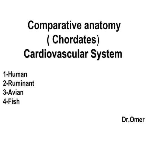 Comparative anatomy circulatory system