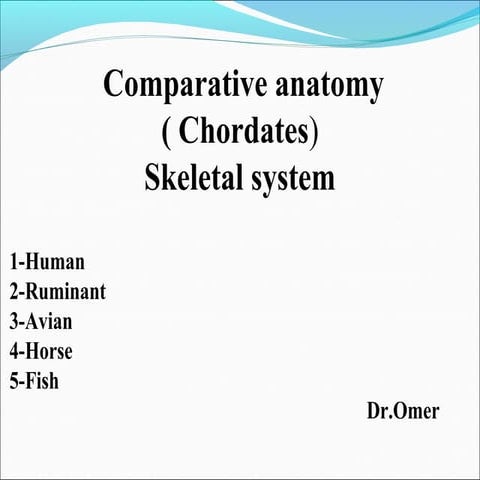 Comparative anatomy (skeletal system)