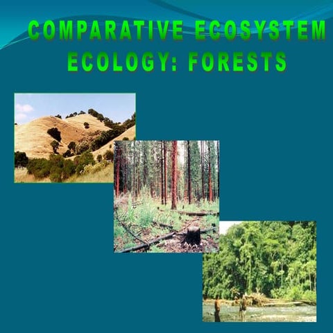 Comparative eco system