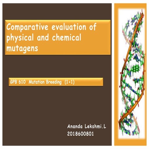 Comparative evaluation of physical and chemical mutagens | PPTX