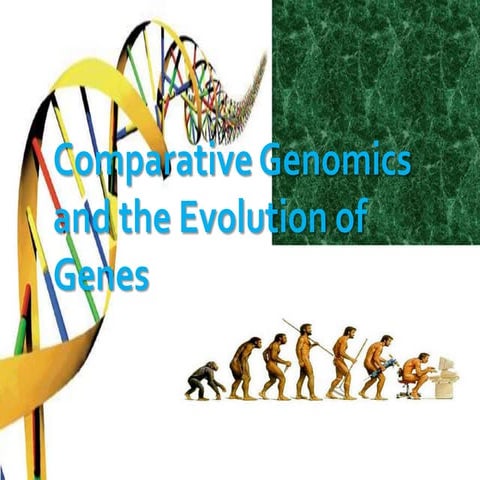 Comparative genomics presentation