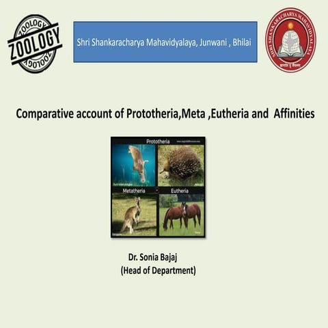 Comparative pro,mete,&amp; eutheria, features of prototheria to eutheria,& af...