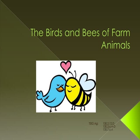 Comparative Reproductive Anatomy