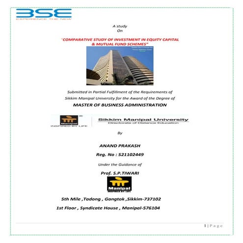 Comparative study of investment in equity capital 