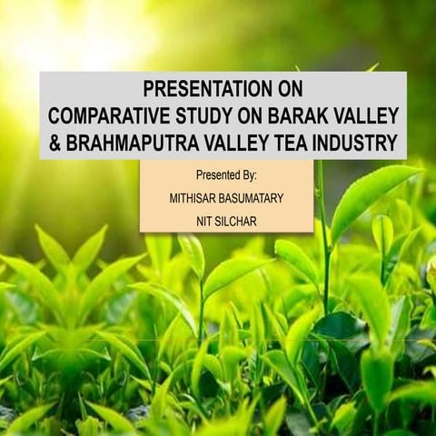 Comparative study on barak valley &amp; brahmaputra valley tea industry