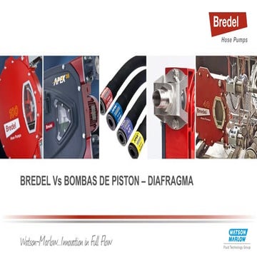 Reagent dosing (Bredel) presentation.pptx