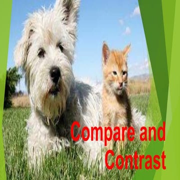 Compare and contrast