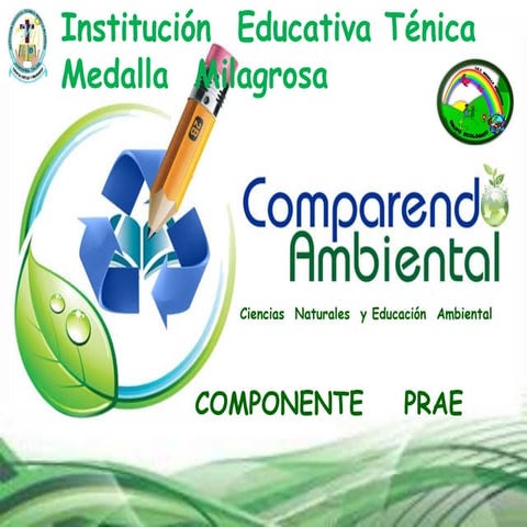 COMPARENDO AMBIENTAL 