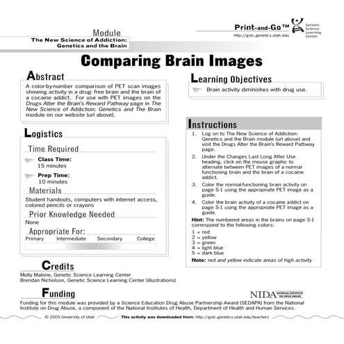 Comparing the Five Analyzed Compounds