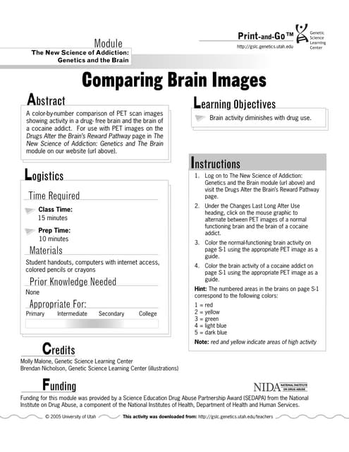 Comparing the Five Analyzed Compounds