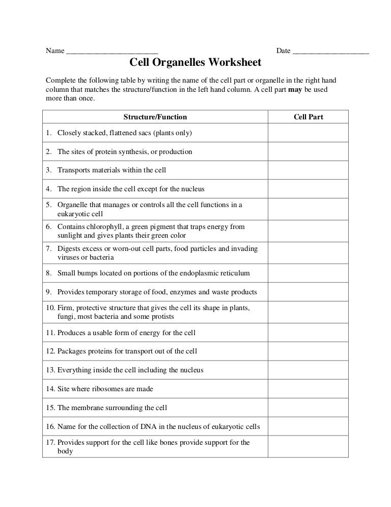 Animal Vs Plant Cell Chart