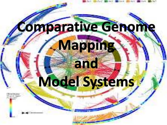 Comparitive genome mapping and model systems