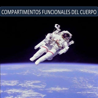 Compartimiento funcional del cuerpo...