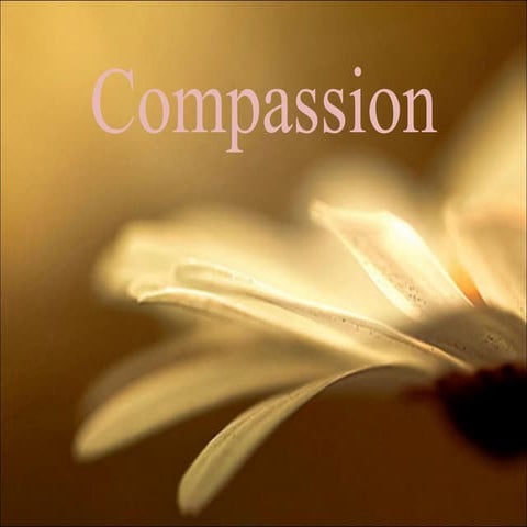 Compassion 1
