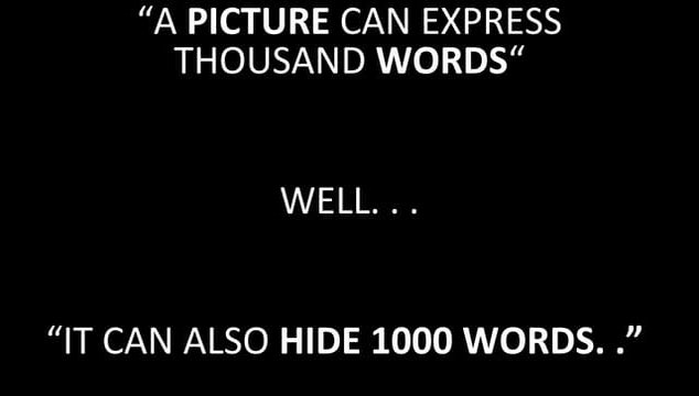 sharing the data using audio and image Steganography- 