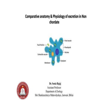 Comparative anatomy & Physiology of  Excretion in Invertebrates.pptx