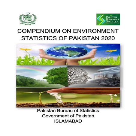Compendium_on_Environment_Statistics_2020.pdf