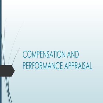 employee compensation performance appraisal | PDF