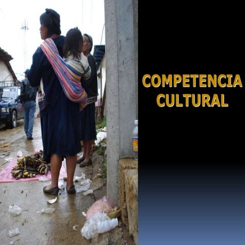 Diversidad Cultural 2022.pdf