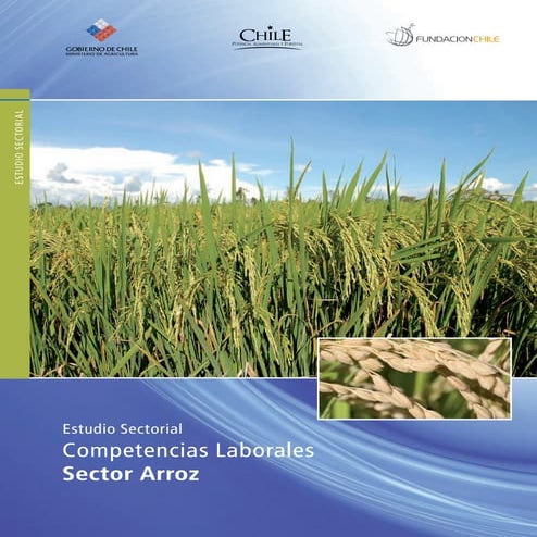 Estudio Sectorial Competencias Laborales Sector Arroz