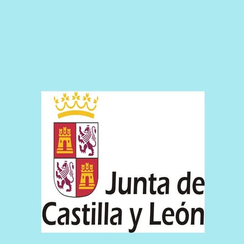 Competencias Básicas en el currículo de las enseñanzas mínimas de Castilla y ...