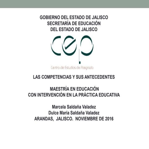 Competencias presentación marcela saldaña