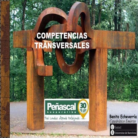 Competencias transversales