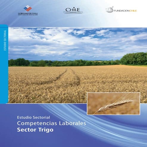 Estudio Sectorial Competencias Laborales Sector Trigo