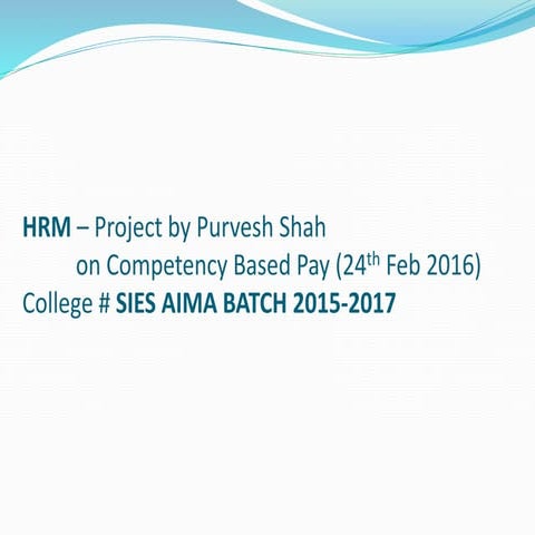 Competency based pay small ppt