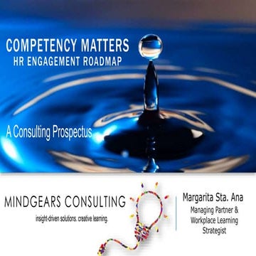 MindGears Consulting |  Competency Matters Engagement Project