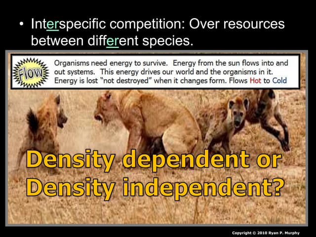 Ecological Competition
