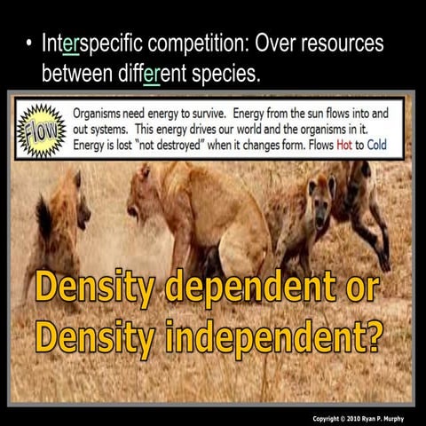Ecology, Competition Lesson PowerPoint, Competitive Exclusion