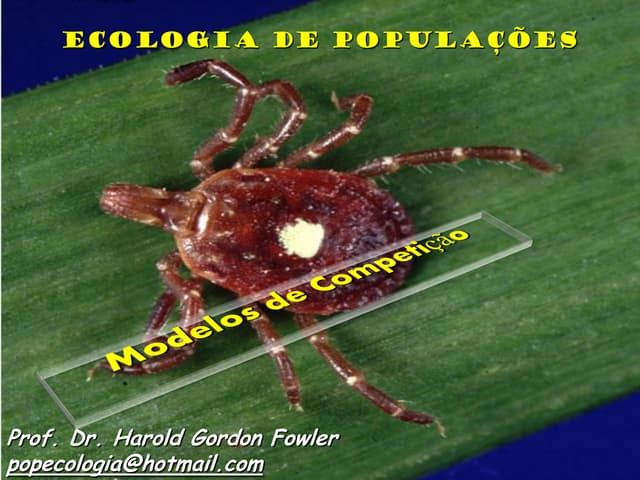 Modelos de competição