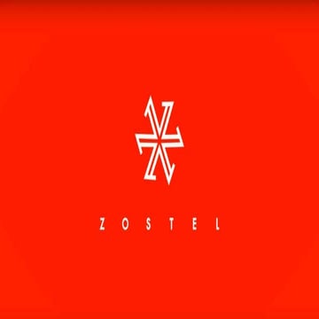 Competitive Analysis of Zostel Brand