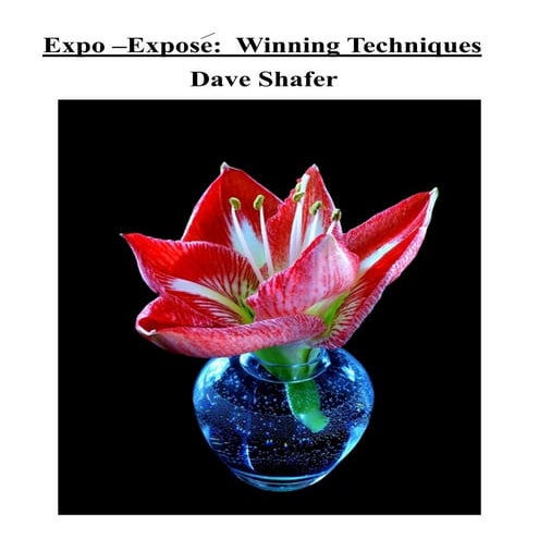 How I Made This: Doan Ly’s Iridescent Flower Photography | PDF