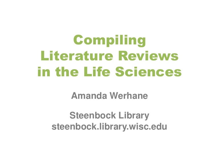 Literature review example picture