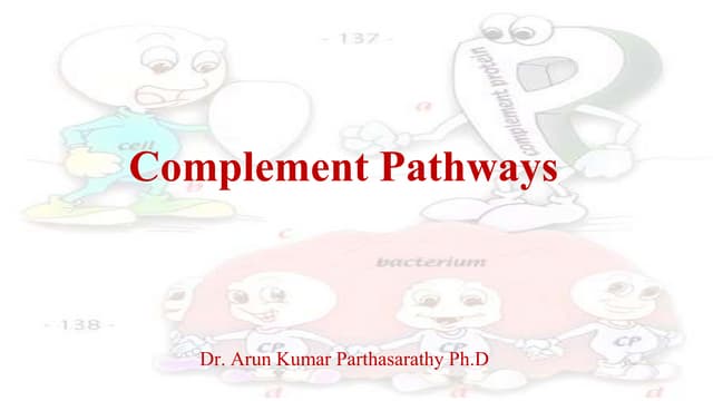 complement.pptx