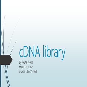 Complementary dna library