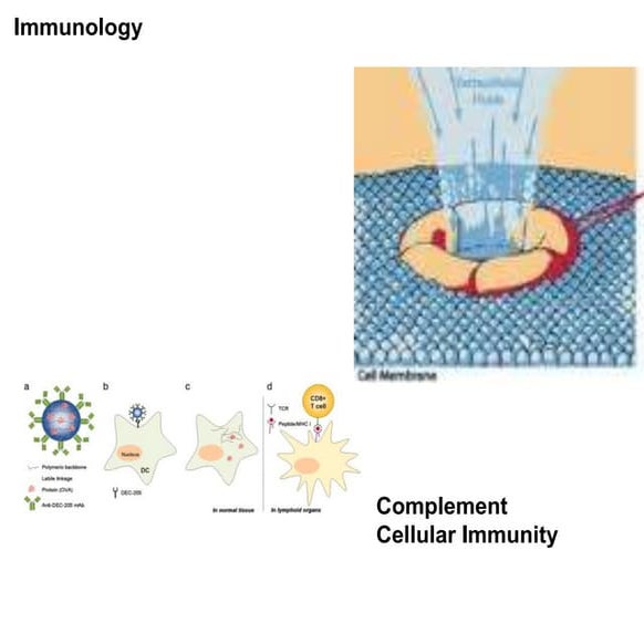Complement cellularimmunity2