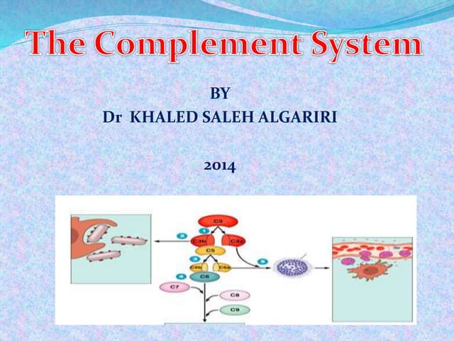 Complement system