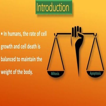 Apoptosis (Intrinsic And Extrinsic Pathway with assays)