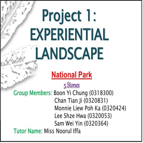 Constructed Landscape