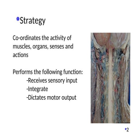 Contents of Complete Corporate strategy 2024.ppt
