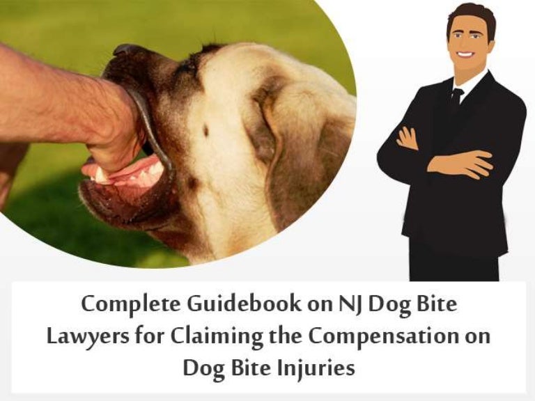 Complete Guidebook on NJ Dog Bite Lawyers for Claiming the Compensati…