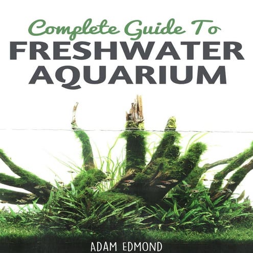 Complete Guide to Freshwater Aquarium