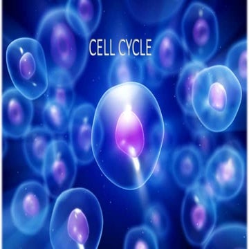 cell cycel , and its stages | PPTX