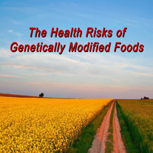 The Documented Health Risks of Genetically Engineered Foods (Long Version)
