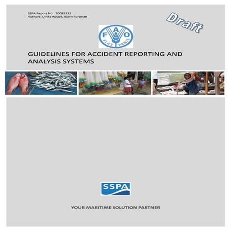 Draft Guidelines to Competent Authorities in Implementing an Accident ...