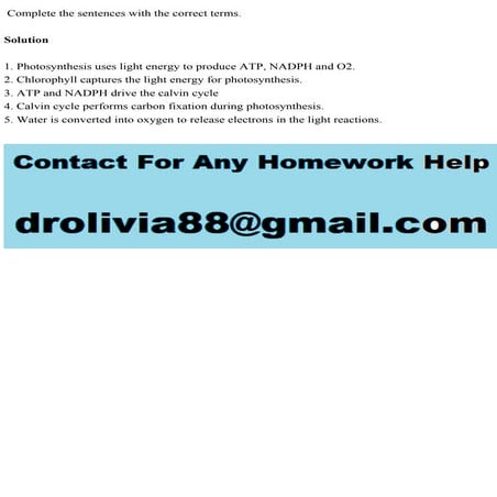 Complete the sentences with the correct terms.  Solution1. Phot.pdf